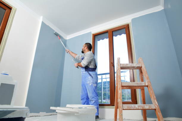 Best Post-Construction Mold Inspection  in Friendship Heights Village, MD