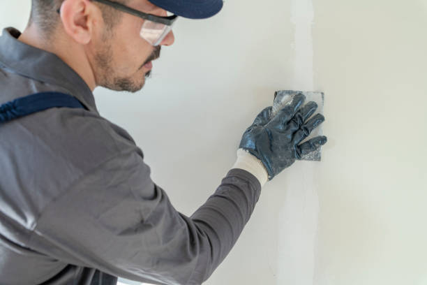 Best Airborne Mold Testing  in Friendship Heights Village, MD