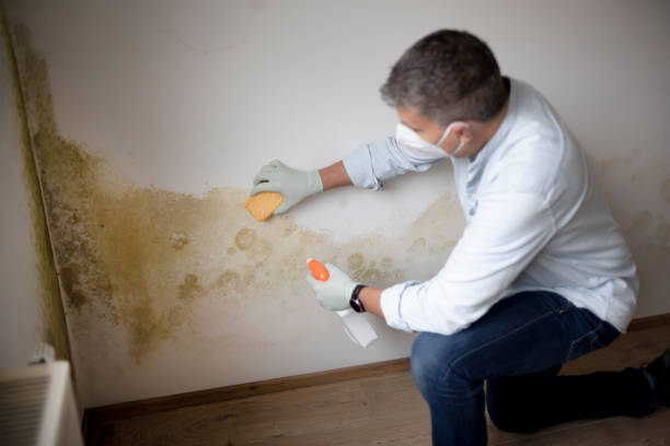 Best Dehumidification Services  in Friendship Heights Village, MD