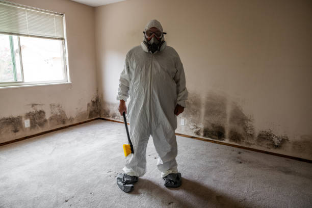 Best Forensic Mold Investigation  in Friendship Heights Village, MD