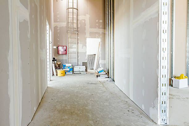 Best Commercial Mold Inspection  in Friendship Heights Village, MD